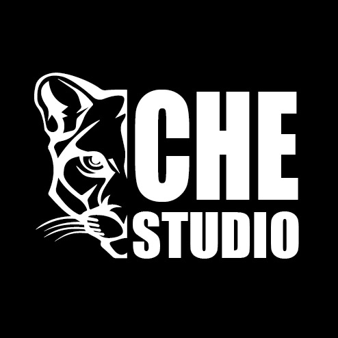 Иконка канала CHESTUDIO