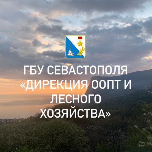 Иконка канала ГБУ "Дирекция ООПТ и лесного хозяйства"