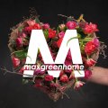 Иконка канала Комнатные растения Казань Maxgreenhome