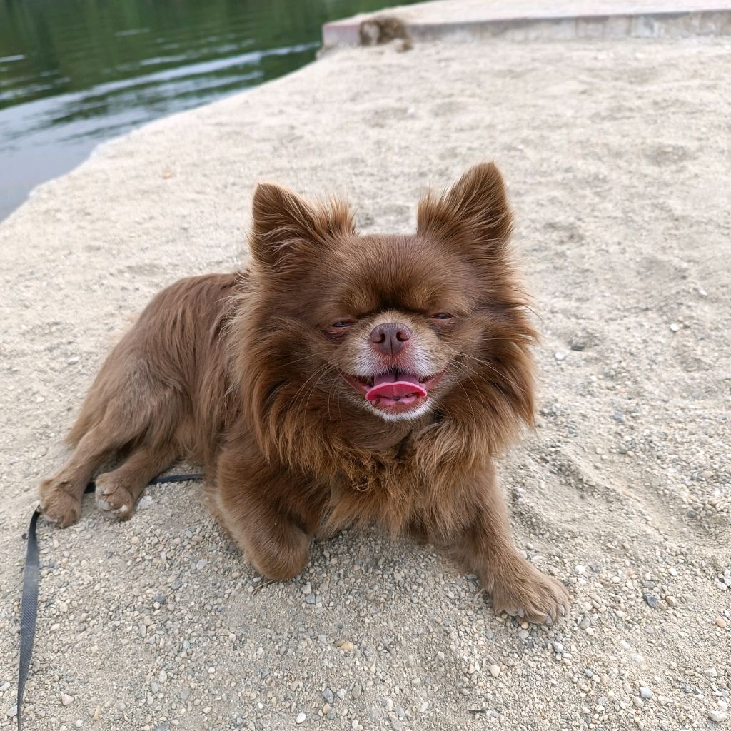 Иконка канала Джексон Шоколадкин