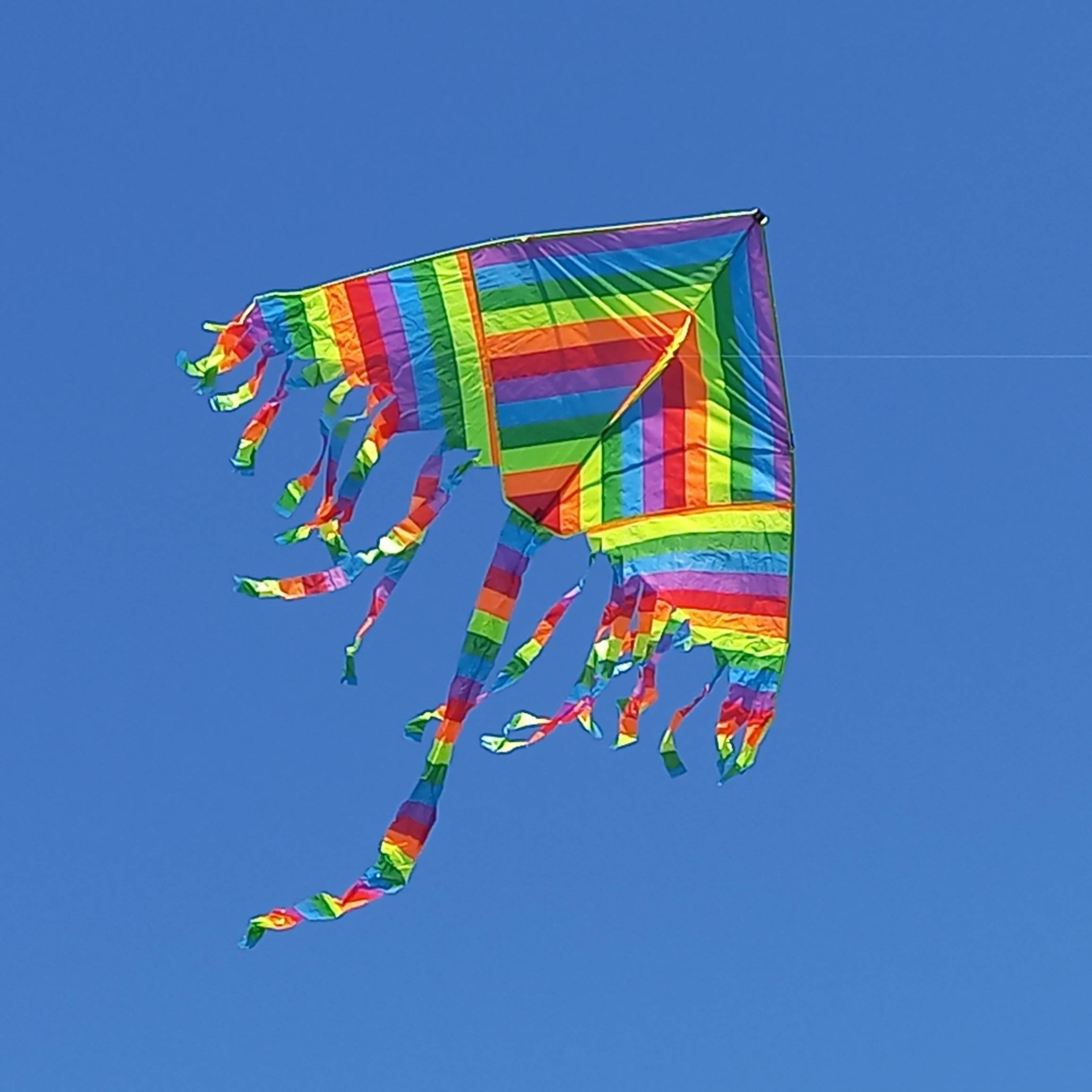 Просто Наблюдатель. Смотрите видео онлайн, бесплатно