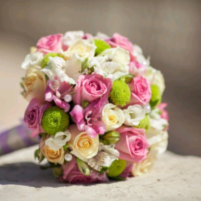 Иконка канала Mobion