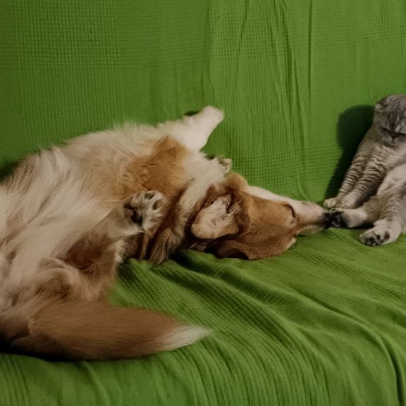 Иконка канала varenevna