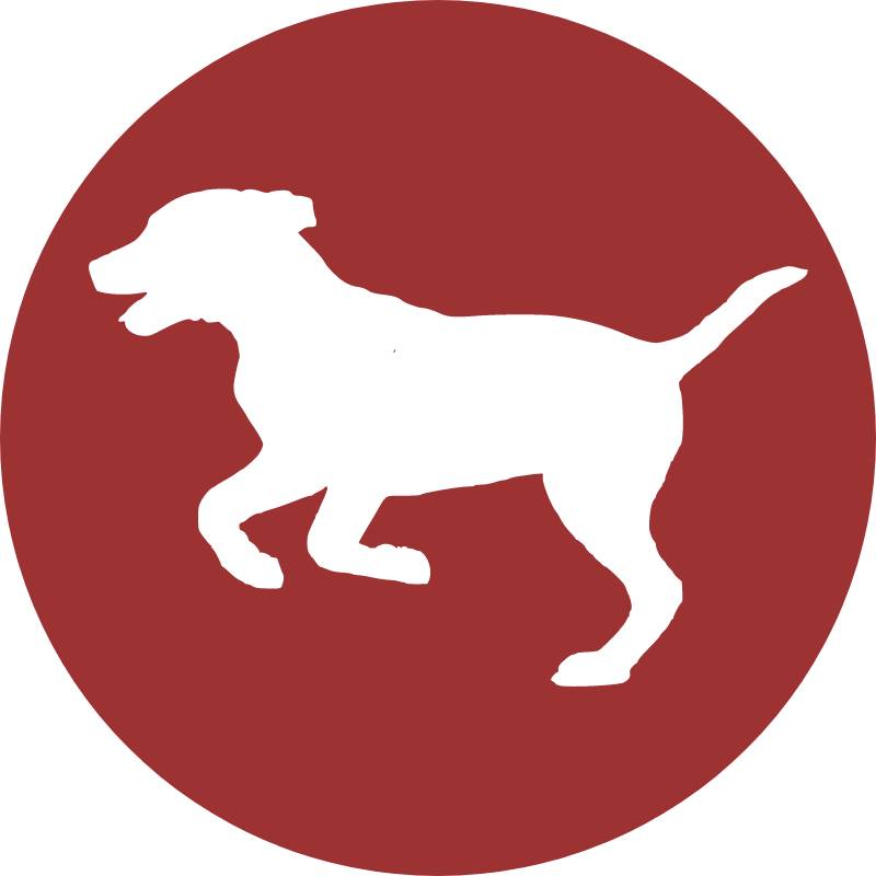 Иконка канала Doge.ru - все о породах собак с фото и названиями
