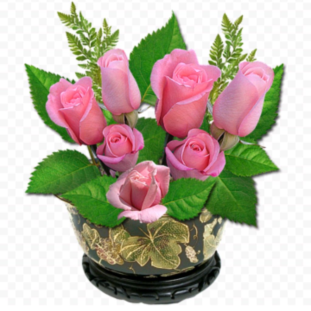 Пожелания от души любимой. Открытки с цветами красивые. Красивый букет. Цветы с пожеланиями. Красивые цветы с пожеланиями.
