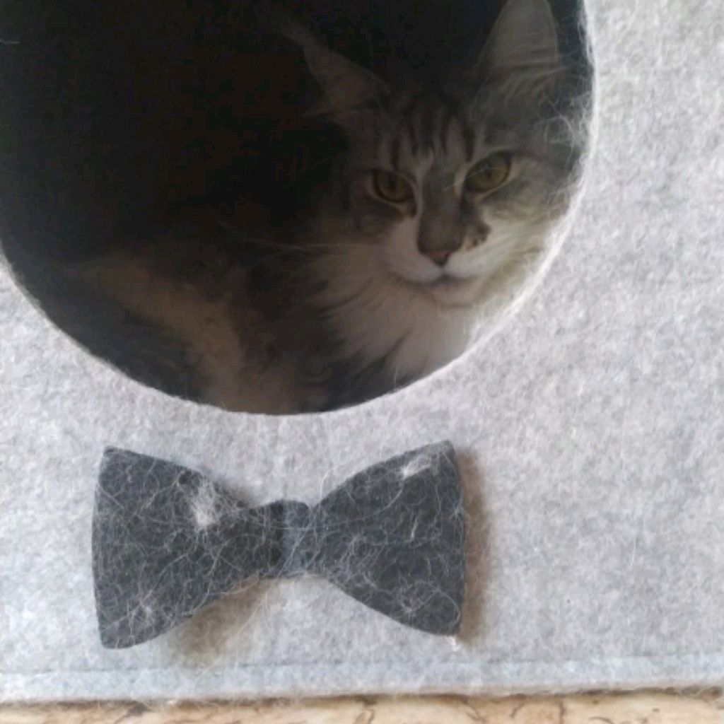 Иконка канала caesarlll