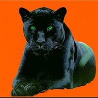 Иконка канала Б 𝐀 𝐏 ★ 𝐓𝐁  ツ