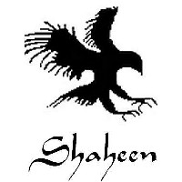 Иконка канала The Baba Shaheen