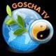 Иконка канала GoschaTV