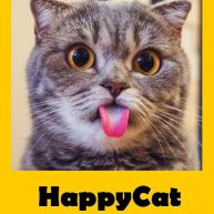 Иконка канала Mr. HappyCat