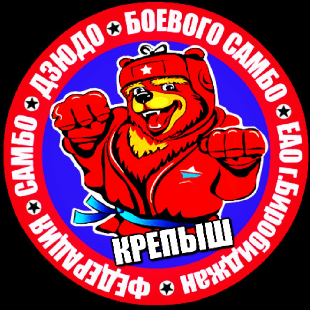 Иконка канала COMBAT_SAMBO_EAO г.Биробиджан