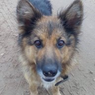 Иконка канала САШУТКА