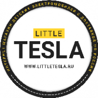 Иконка канала Детские электромобили Little Tesla