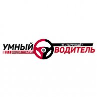 Иконка канала УМНЫЙ ВОДИТЕЛЬ