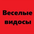 Иконка канала Прикольные видосы!