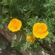 Иконка канала Всякое - разное