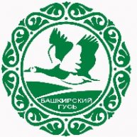 Иконка канала Башкирский Гусь