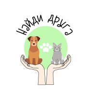 Иконка канала Найди друга на ТВЦ