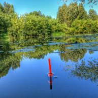 Иконка канала РЫБАЛКА У ДОМА!