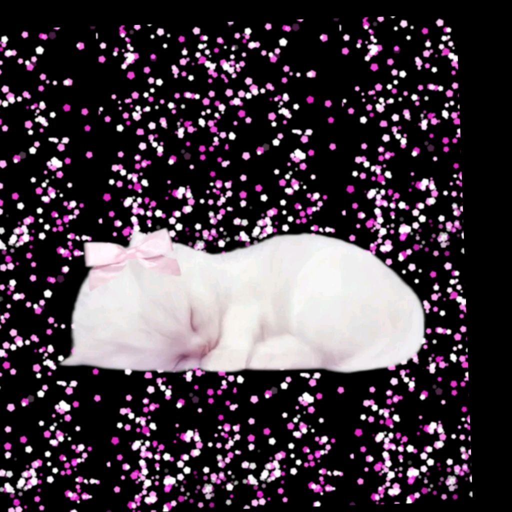 Иконка канала БАСИКС ТВ!