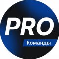 Иконка канала Тимур Соколов | PRO Команды