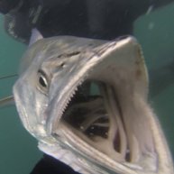 Иконка канала АС