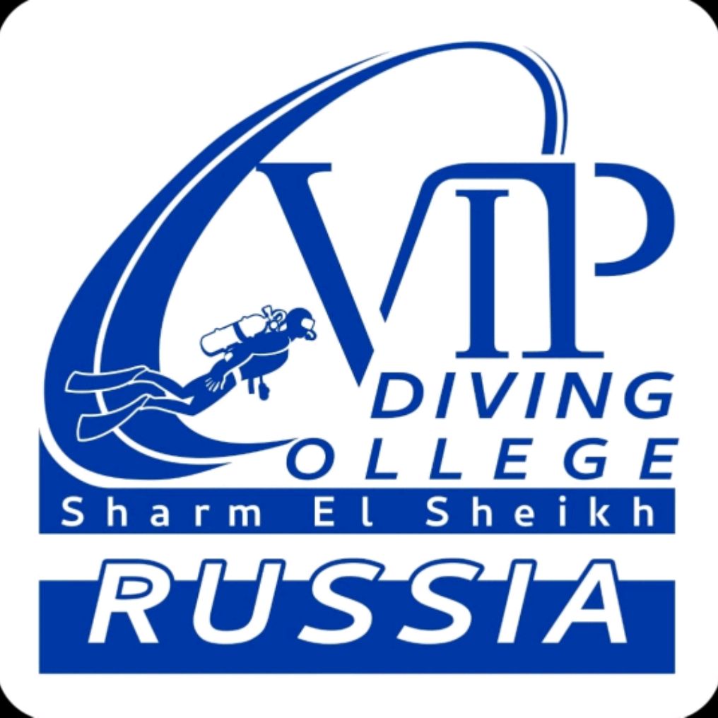 Иконка канала VIP Diving College Russia