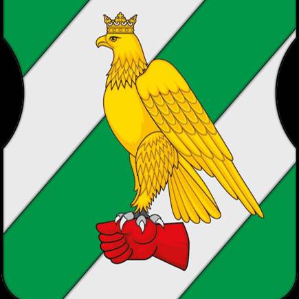 Иконка канала Совет депутатов муниципального округа Сокольники