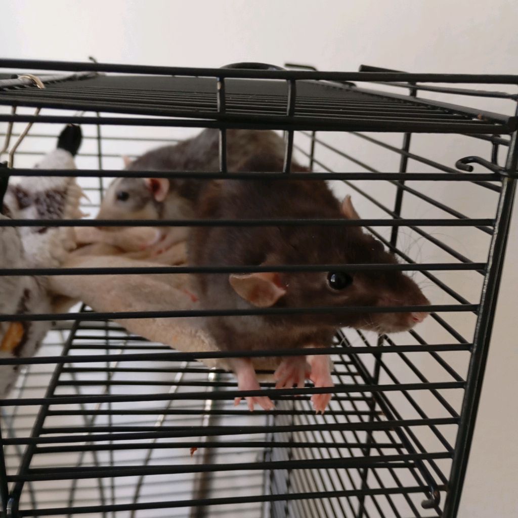 Иконка канала Nikita 37