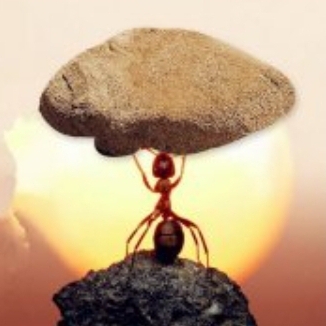 Иконка канала Зарядка Духа Атлетизм