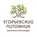 Иконка канала Егорьевский питомник Никитенко Александра