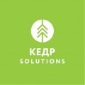 Иконка канала КЕДР Solutions: Платы и байты