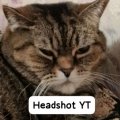 Иконка канала Headshot_RT