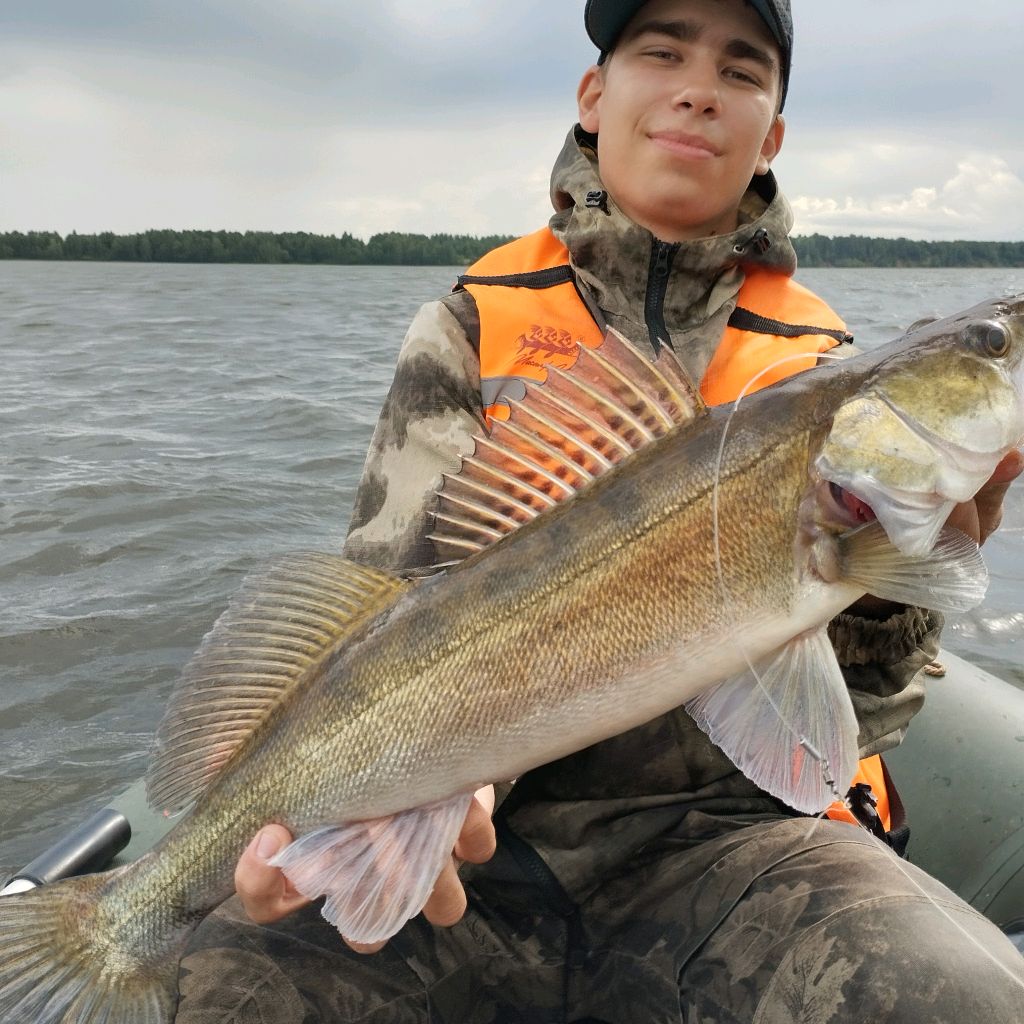 Иконка канала Рыбалка 59 Оса