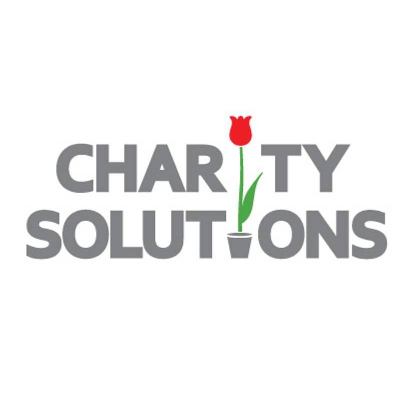 Иконка канала Charity Solutions Consulting