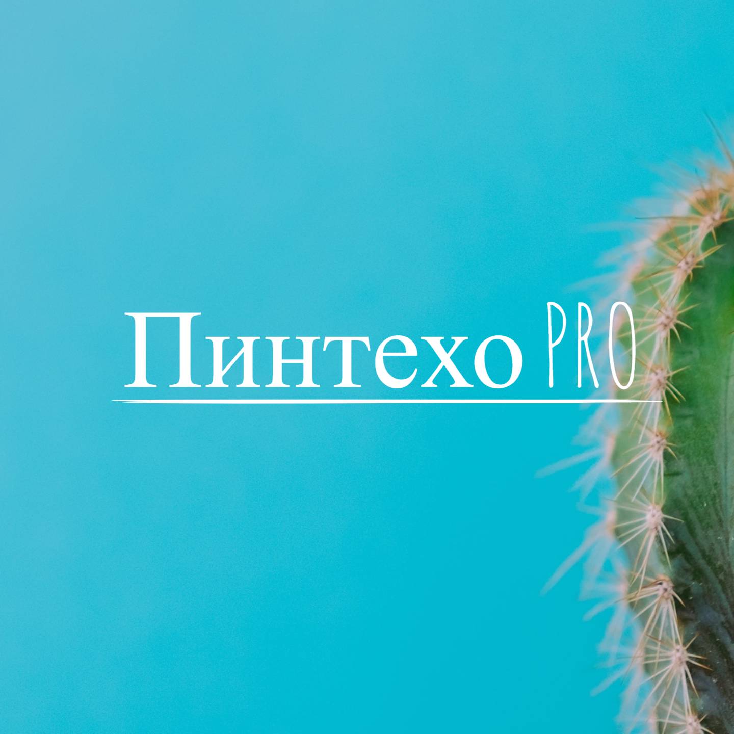 Иконка канала Пинтехо PRO
