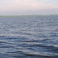 Иконка канала Мотя