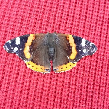 Иконка канала Михаил Сеник Кубань