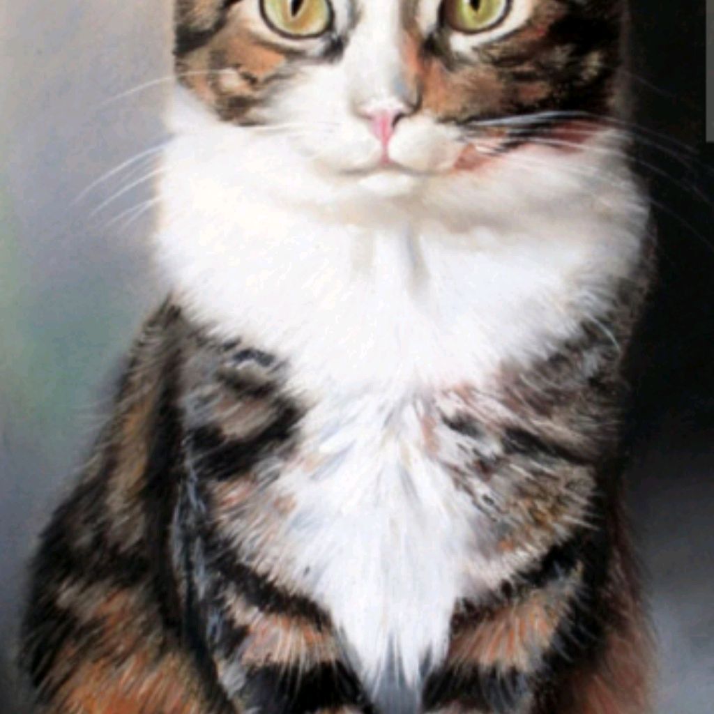 Иконка канала Супер Макарыч и Супер Саша