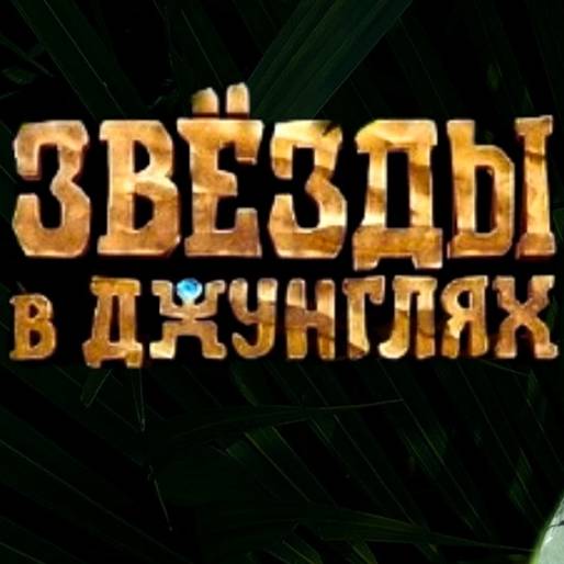 Звезды в джунглях 2024 на RUTUBE 10 видео смотреть онлайн и бесплатно (46684141)