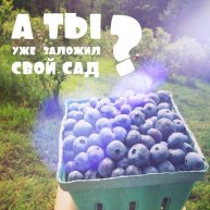 Иконка канала Мои зеленые инвестиции