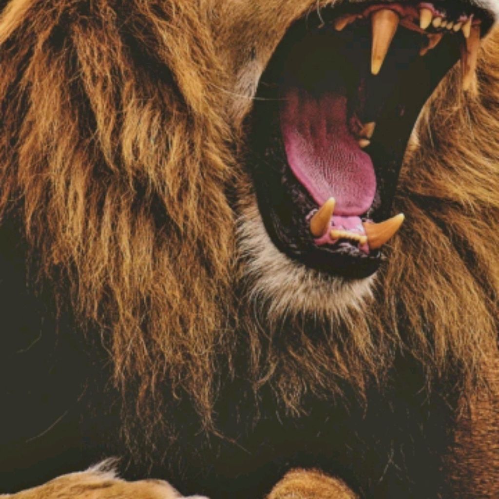 Иконка канала АРТУР Ян