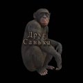 Иконка канала друг Ваш - санька