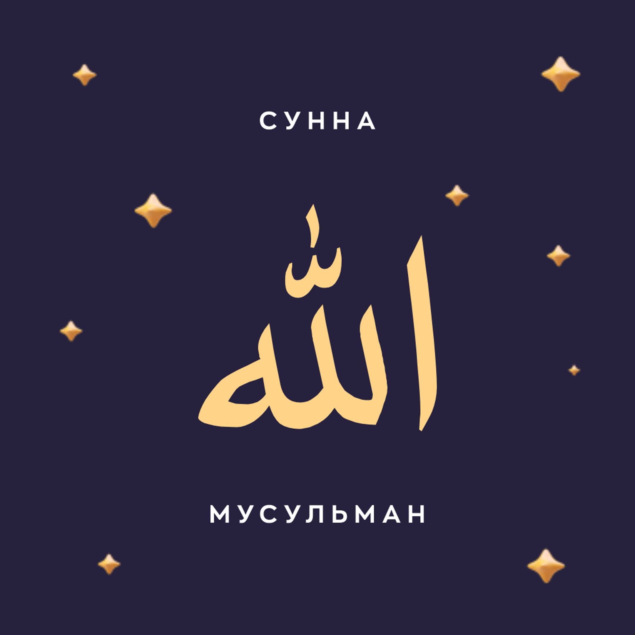 Иконка канала Сунна Мусульман الله   ☪️