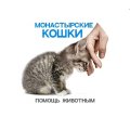 Иконка канала Монастырские кошки
