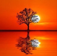 Иконка канала RLS-проект