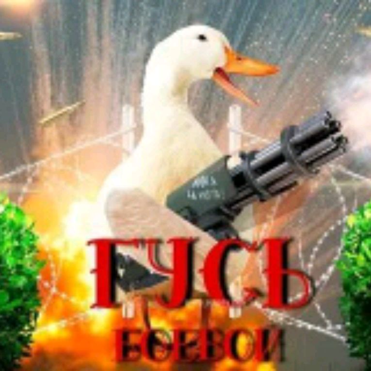 Иконка канала Гусь везде