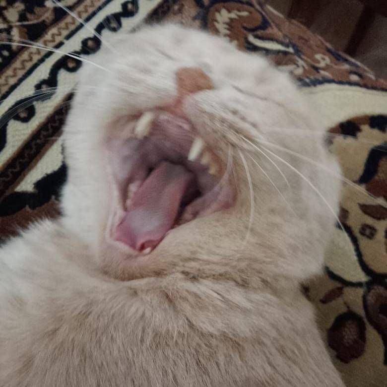 Иконка канала kirill_14022012