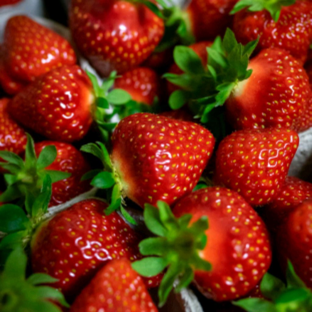 Иконка канала Сергей клубника 🍓