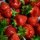 Иконка канала Сергей клубника 🍓